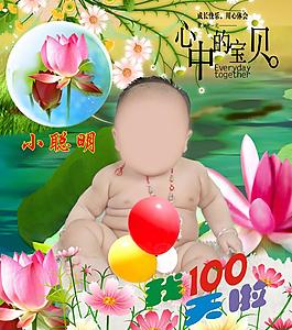 荷花宝贝图片