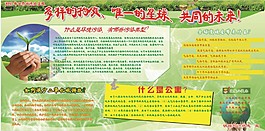 世界環境日