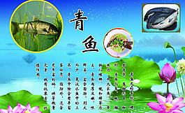 荷花 青魚圖片