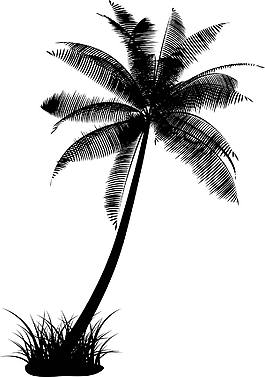 椰子樹