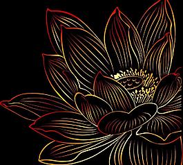 金色荷花圖片