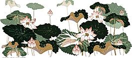 精美荷花图片
