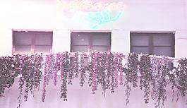 天幕城 窗圖片
