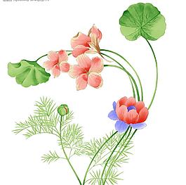 花荷花圖片