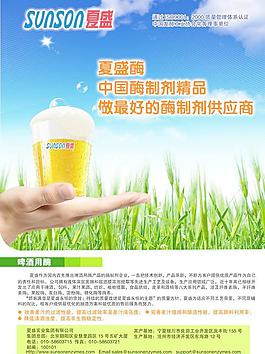 啤酒圖片