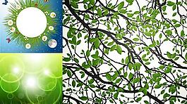 花草樹木矢量圖  AI