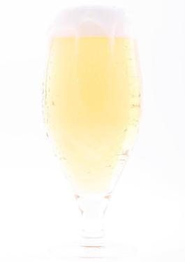 啤酒圖片