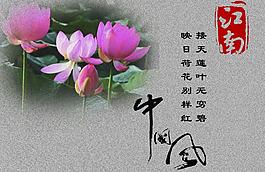 荷花 蓮花 中國(guó)風(fēng)圖片