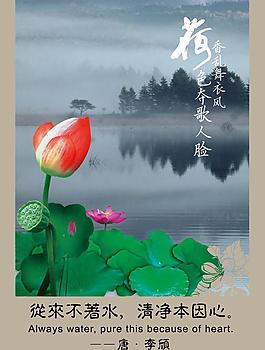 廉政文化 荷花圖片