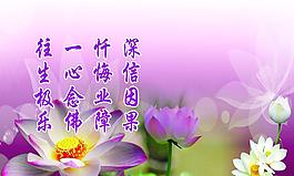 荷花圖 蓮花圖片