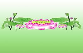 荷花(高清分層)圖片