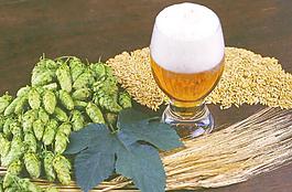 啤酒圖片
