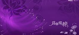 荷花摄影模板图片