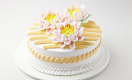 生日蛋糕 鱼尾菊图片