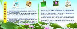 荷花展板圖片