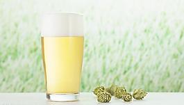 啤酒圖片