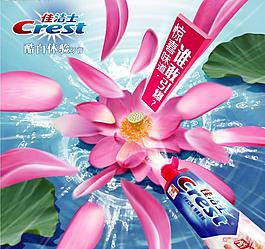 佳潔士牙膏荷花圖片
