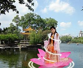 荷花  仙女 光環(huán) 背景圖片