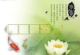 魚與荷花圖片