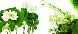 荷花 蓮花 水墨畫(huà)圖片