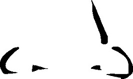 鼻夾藝術