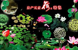 荷花 特輯 房產元素系列圖片