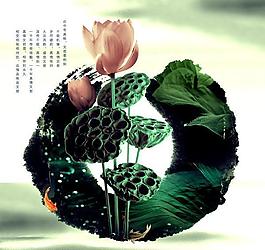 水墨荷花和莲蓬psd分层素材图片