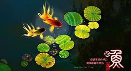 鱼 金鱼图片
