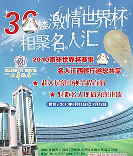 2010南非世界杯图片