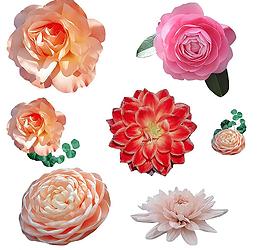 花朵圖片