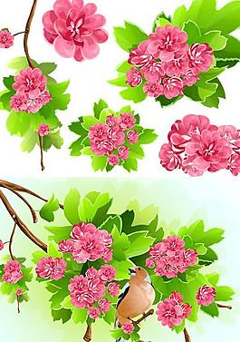 粉紅鮮花綠葉水彩畫矢量素材