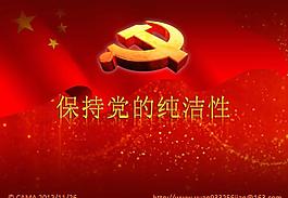 保持黨的純潔性PPT模板