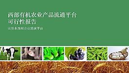 農產品流通平臺可行性報告PPT