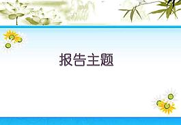 商業項目報告PPT模板