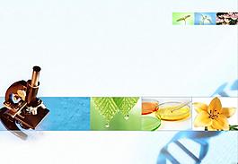 生物醫學顯微鏡PPT模板