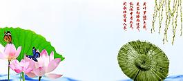 清新淡雅 荷 傘圖片