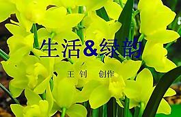 生活綠韻環保PPT模板