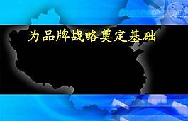 品牌戰(zhàn)略營銷管理PPT模板