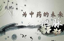 传统中医医学PPT模板免费下载