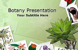 植物花草PPTPPT模板