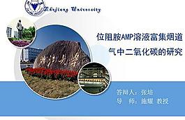 浙大環境工程碩士論文答辯ppt