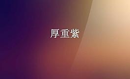厚重紫背景PPT模板
