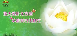 無限極海報圖片