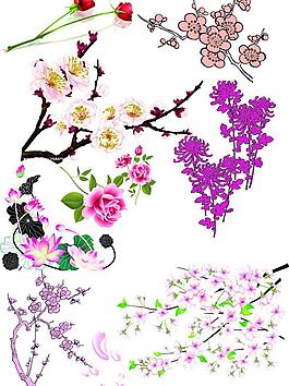 花朵元素圖片