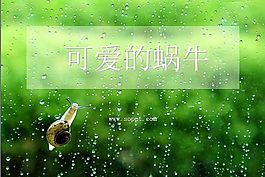 雨天玻璃上的蜗牛ppt背景图案