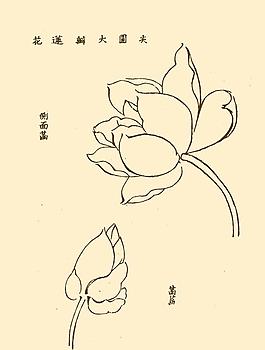 芥子園畫譜 花卉圖片
