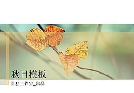 秋季樹葉PPT模板