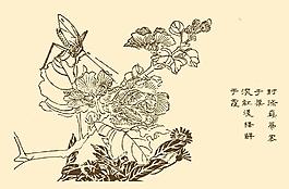 芥子園畫譜 花卉圖片