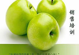 職業化銷售培訓PPT模板
