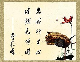 书法图片